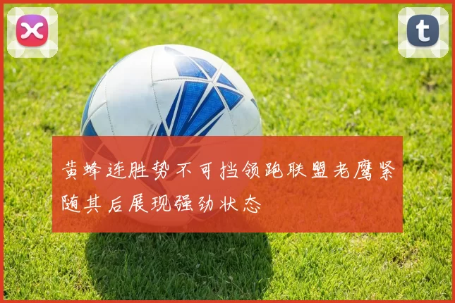 黄蜂连胜势不可挡领跑联盟老鹰紧随其后展现强劲状态