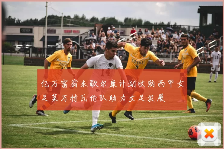 亿万富翁米歇尔康计划收购西甲女足莱万特瓦伦队助力女足发展