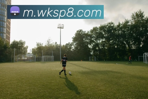 悟空体育平台生态图